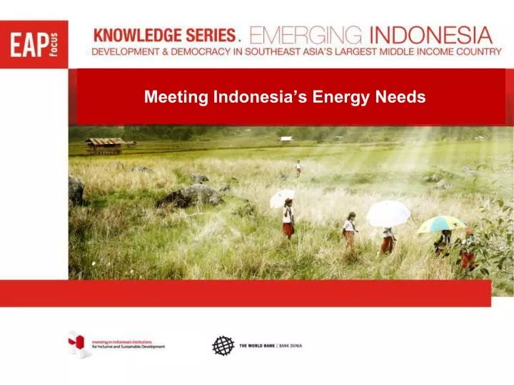 meeting indonesia s energy needs
