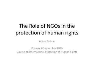 The Role of NGOs in the protection of human rights