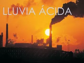 LLUVIA ACIDA - Andrea Lucena de Opazo
