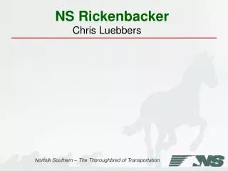 NS Rickenbacker