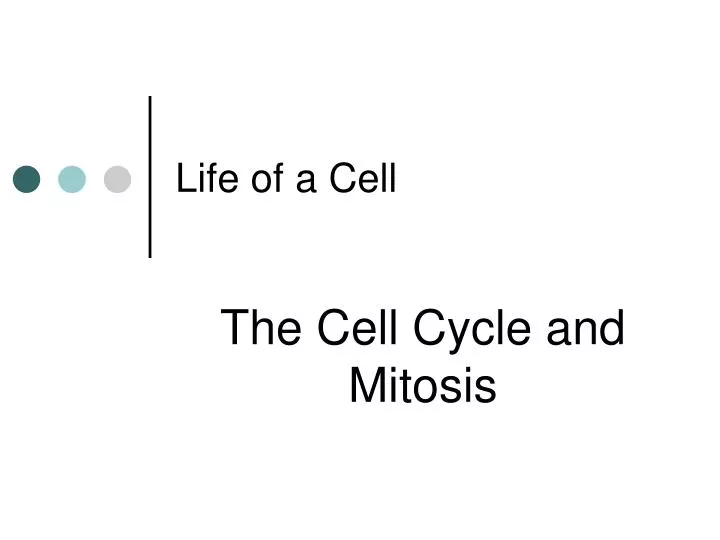 life of a cell