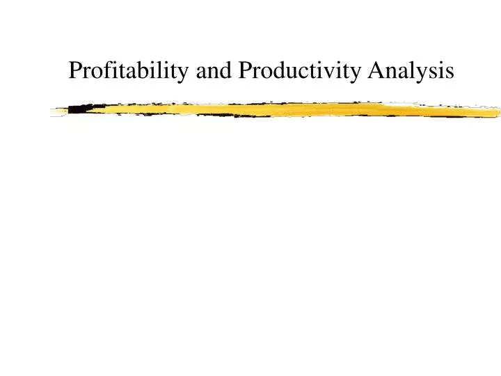 profitability and productivity analysis
