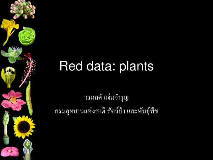 red data plants