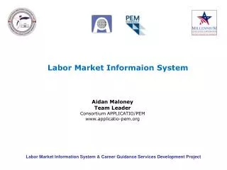 Labor Market Informaion System