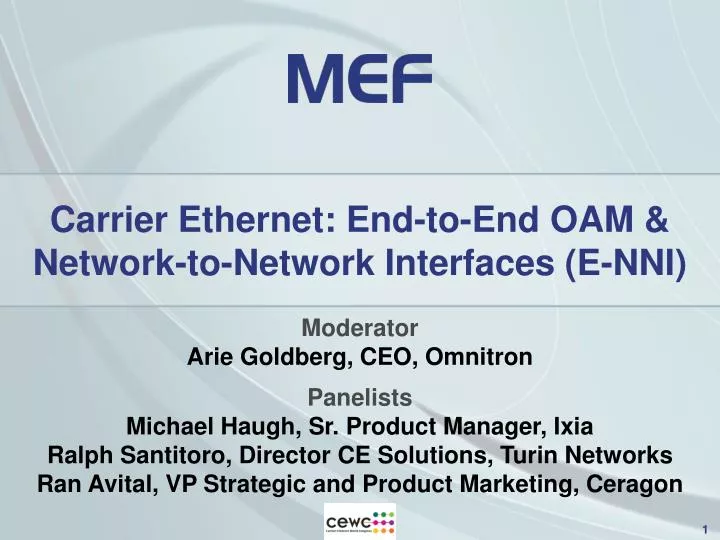 carrier ethernet end to end oam network to network interfaces e nni