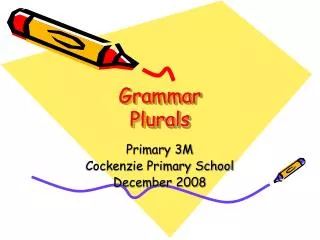 Grammar Plurals