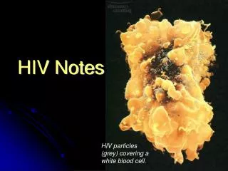 HIV Notes