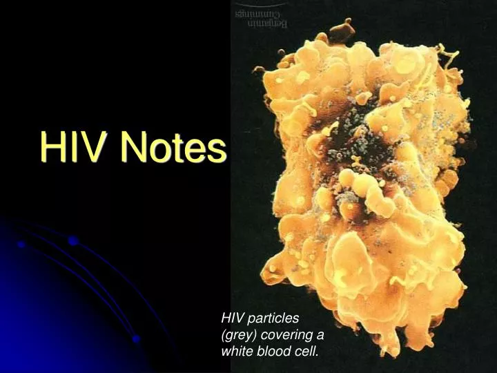 hiv notes