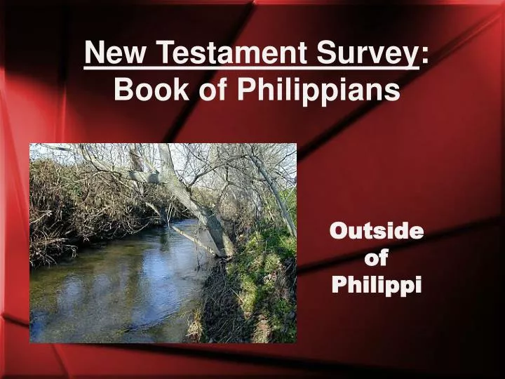 new testament survey book of philippians