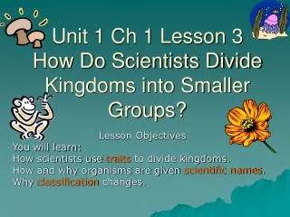 Unit 1 Ch 1 Lesson 3 How Do Scientists Divide Kingdoms into Smaller Groups?