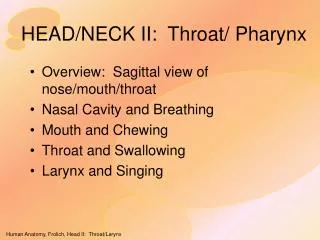 HEAD/NECK II: Throat/ Pharynx