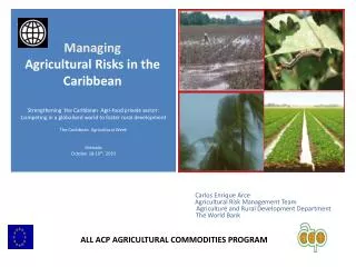 Strengthening the Caribbean Agri -food private sector: Competing in a globalised world to foster rural development Th