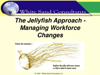 The Jellyfish Approach - Managing Workforce Changes