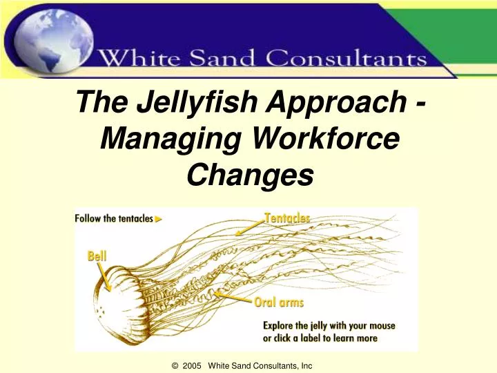 the jellyfish approach managing workforce changes