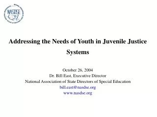 Addressing the Needs of Youth in Juvenile Justice Systems