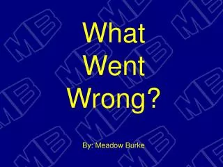 What Went Wrong? By: Meadow Burke