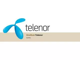 Sindikat -Telenor