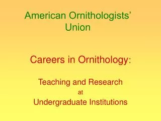 american ornithologists union