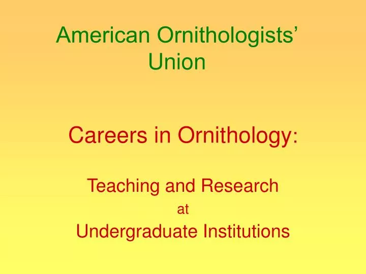 american ornithologists union