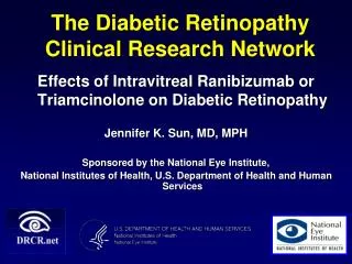 The Diabetic Retinopathy Clinical Research Network