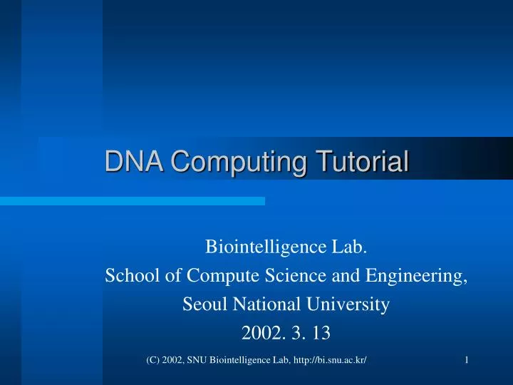 dna computing tutorial