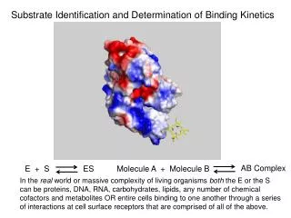 Substrate Identification and Determination of Binding Kinetics