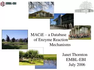 MACiE – a Database 			 of Enzyme Reaction 					Mechanisms 					 Janet Thornton 					 EMBL-EBI