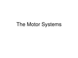 The Motor Systems