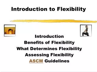 Introduction to Flexibility