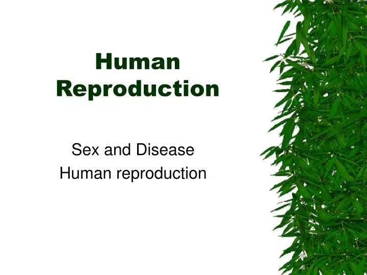 human reproduction