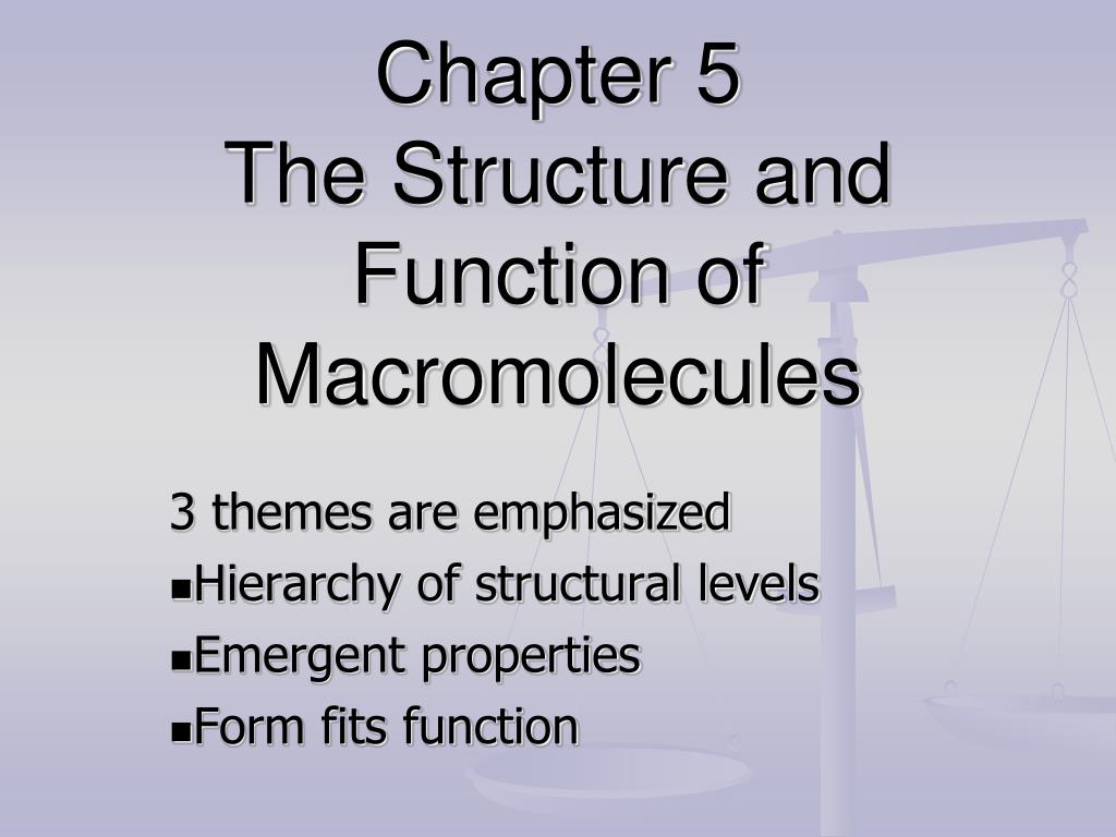 PPT - Chapter 5 The Structure and Function of Macromolecules PowerPoint ...