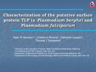Characterization of the putative surface protein TLP in Plasmodium berghei and Plasmodium falciparum