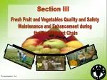 Fresh Fruit and Vegetables Quality and Safety Maintenance and Enhancement during the Post-harvest Chain