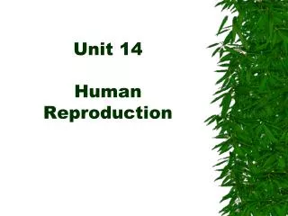 Unit 14 Human Reproduction