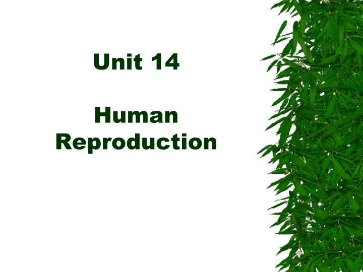 unit 14 human reproduction