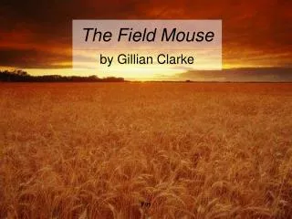 The Field Mouse