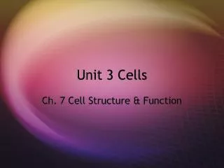 Unit 3 Cells