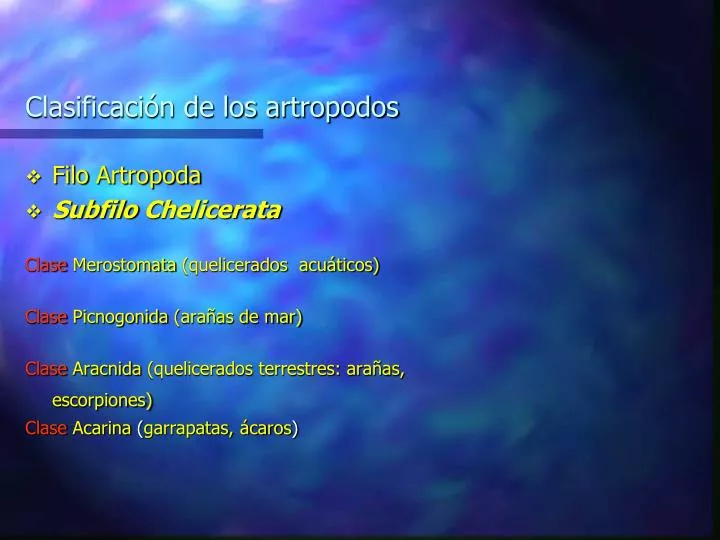 clasificaci n de los artropodos