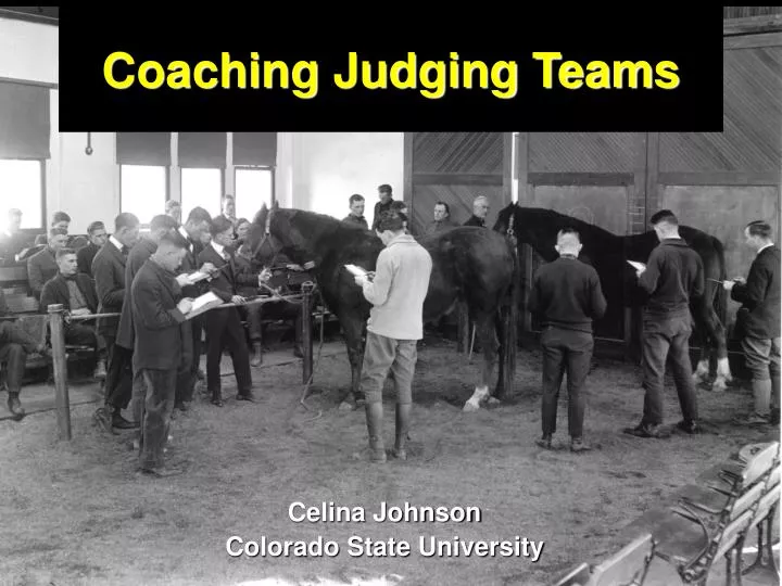 coaching judging teams