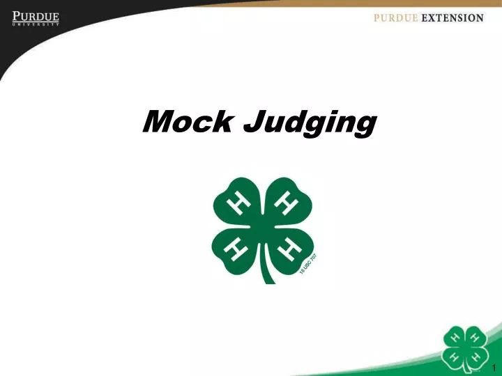 mock judging