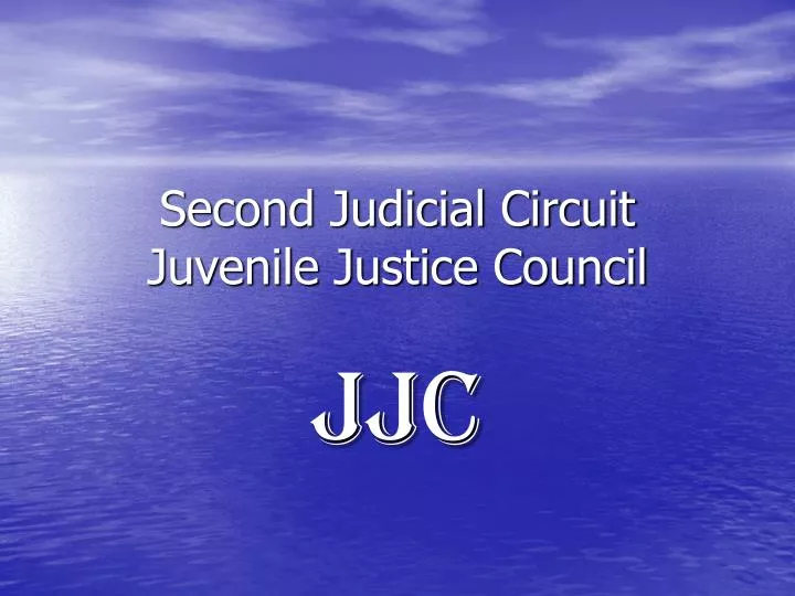 second judicial circuit juvenile justice council