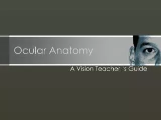 Ocular Anatomy