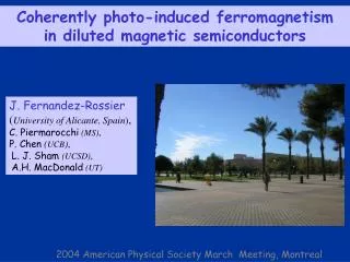 Coherently photo-induced ferromagnetism in diluted magnetic semiconductors