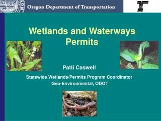 Wetlands and Waterways Permits