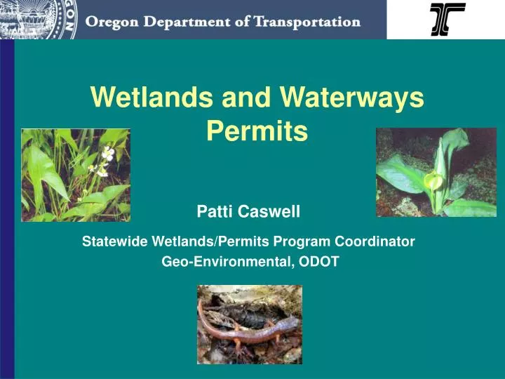 wetlands and waterways permits