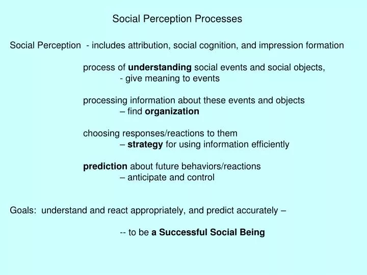 social perception processes
