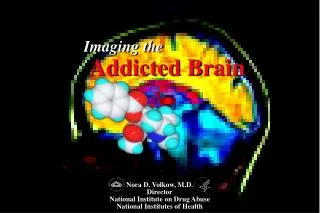 Imaging the Addicted Brain