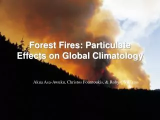 Forest Fires: Particulate Effects on Global Climatology