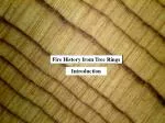 Fire History from Tree Rings - slide 1
