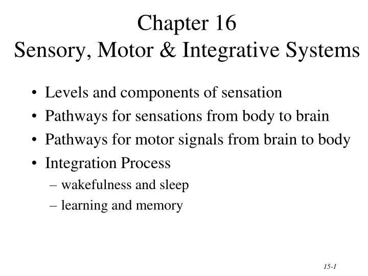 chapter 16 sensory motor integrative systems